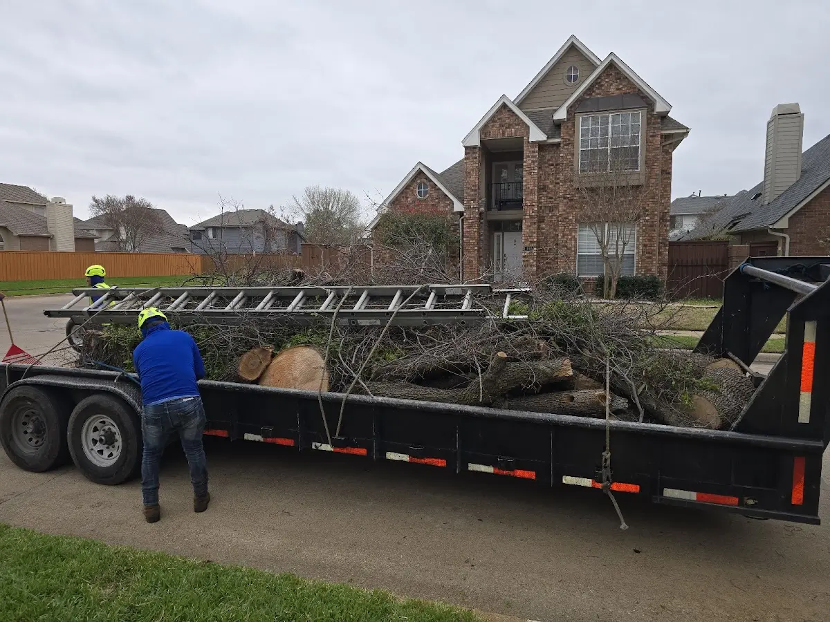 Expert Tree Fertilization with proper safety equipment in Stonewall